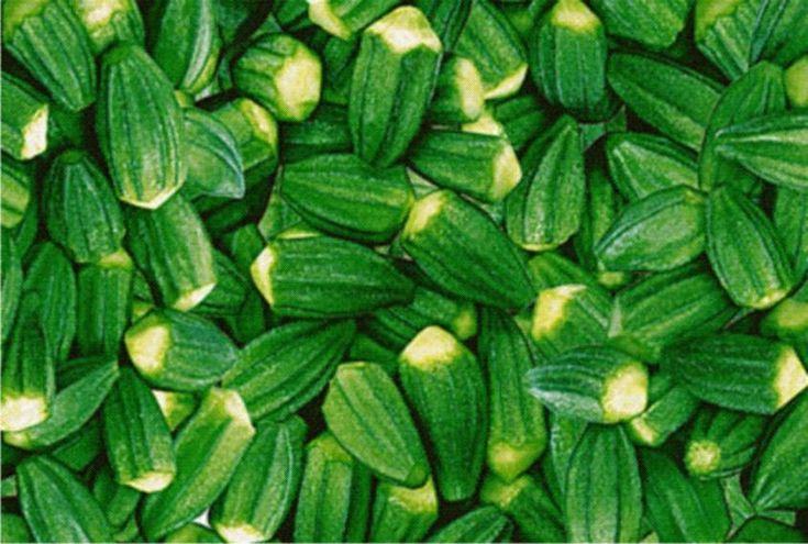 Fresh Green Okra