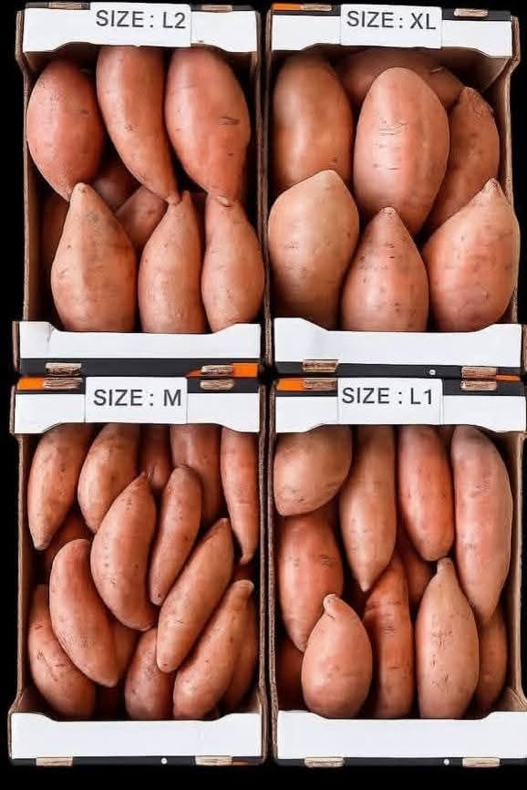 Sweet Potatoes