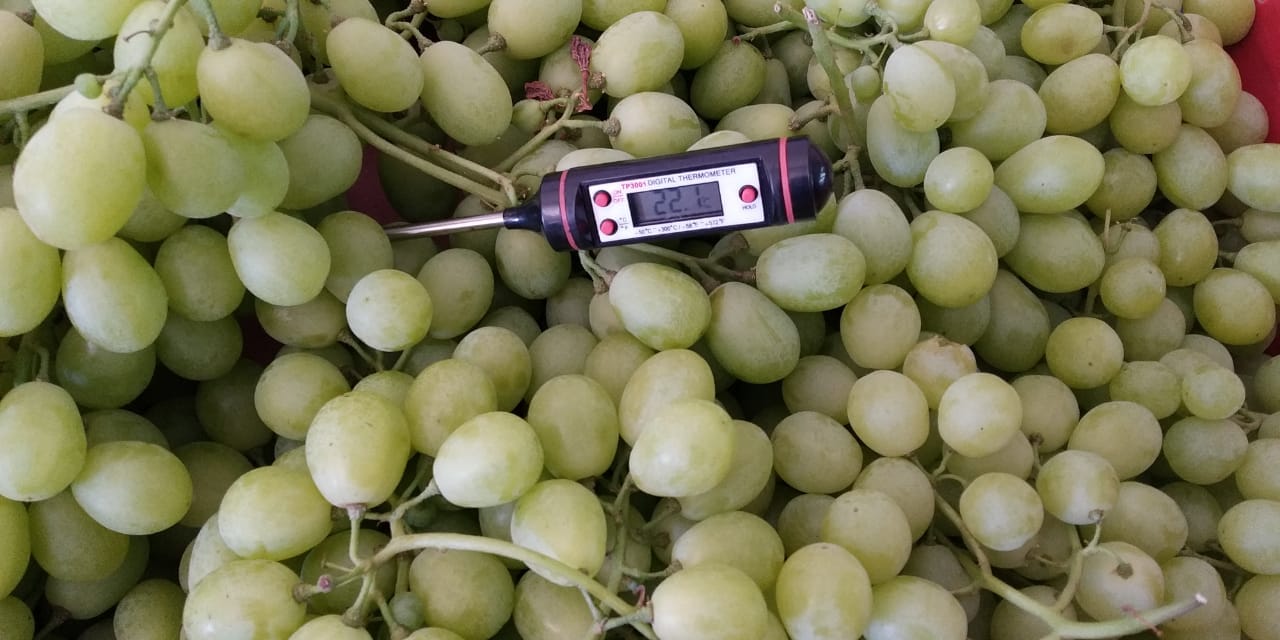 Green Grapes