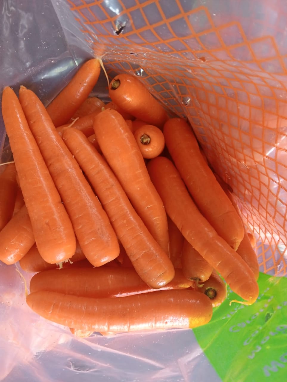 Carrots
